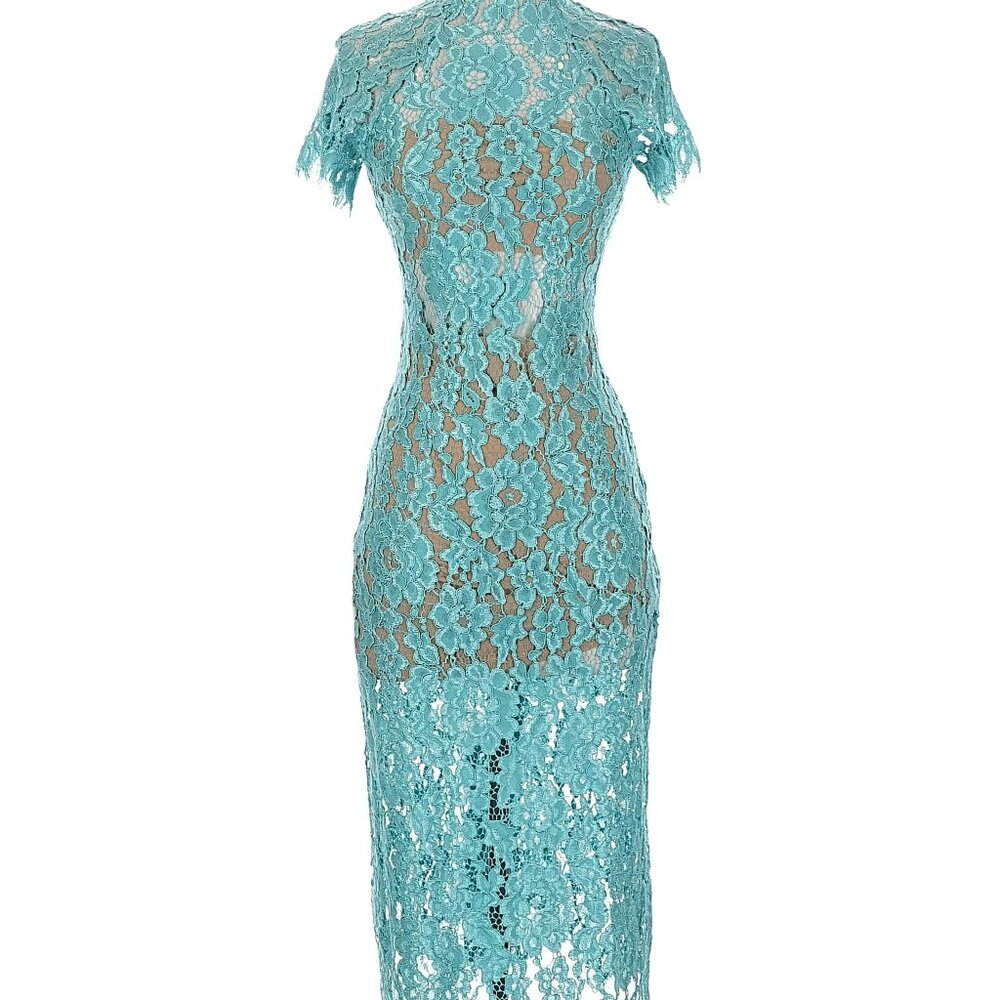 Alexis Leona Lace Dress